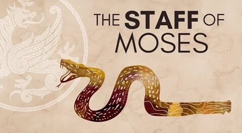 The Story of Prophet Moses