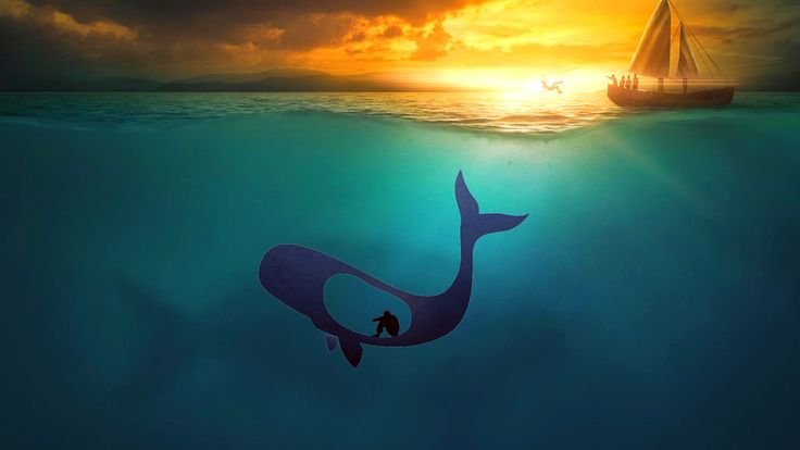 The Story of Prophet Yunus : A Timeless Tale of Faith and Redemption 8>