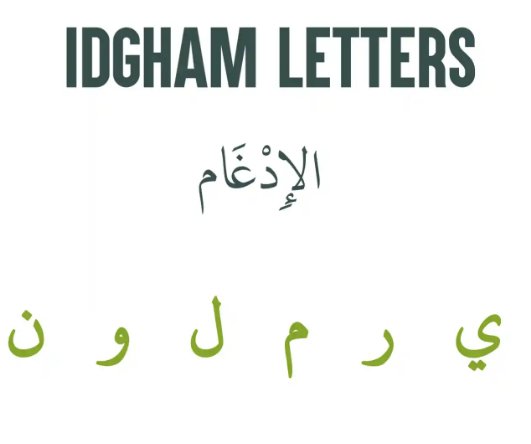 Al-Idghaam (الإدغام): Master the Powerful Merging Rule in Tajweed Lesson 2> 🌟