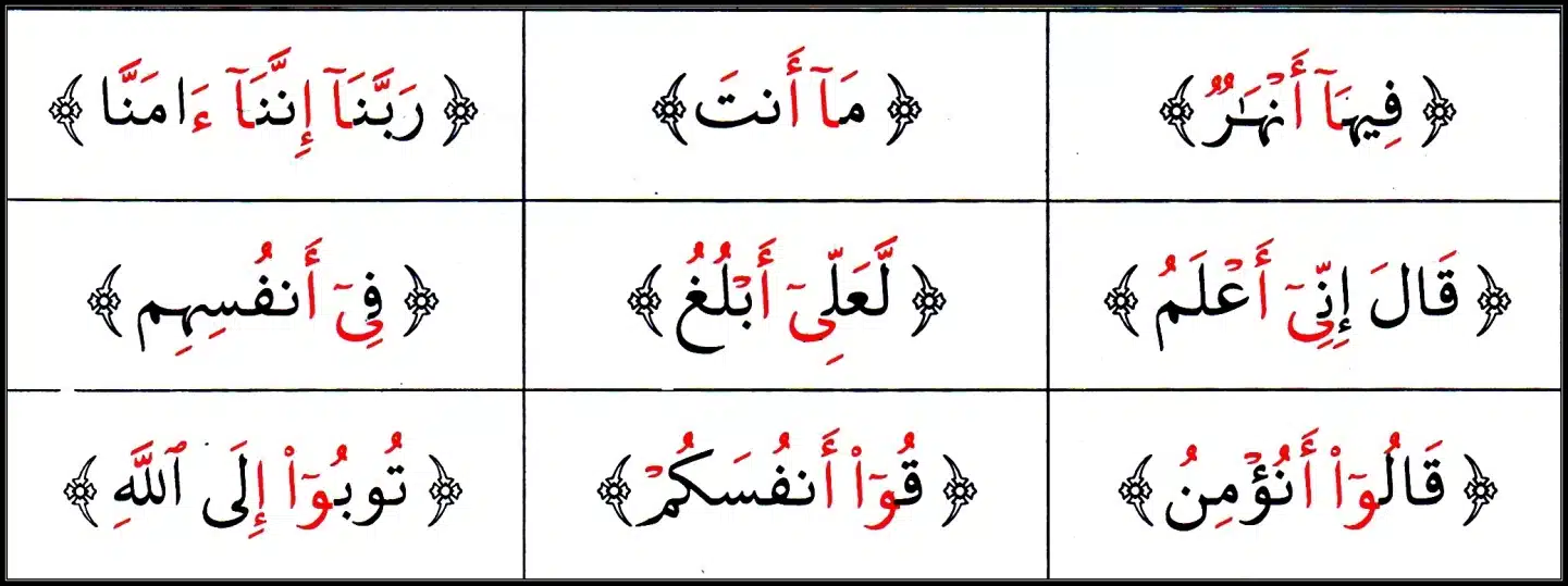 Special Madd Types Demystified – A Practical Guide to Powerful Recitation Lesson 3 > ✨