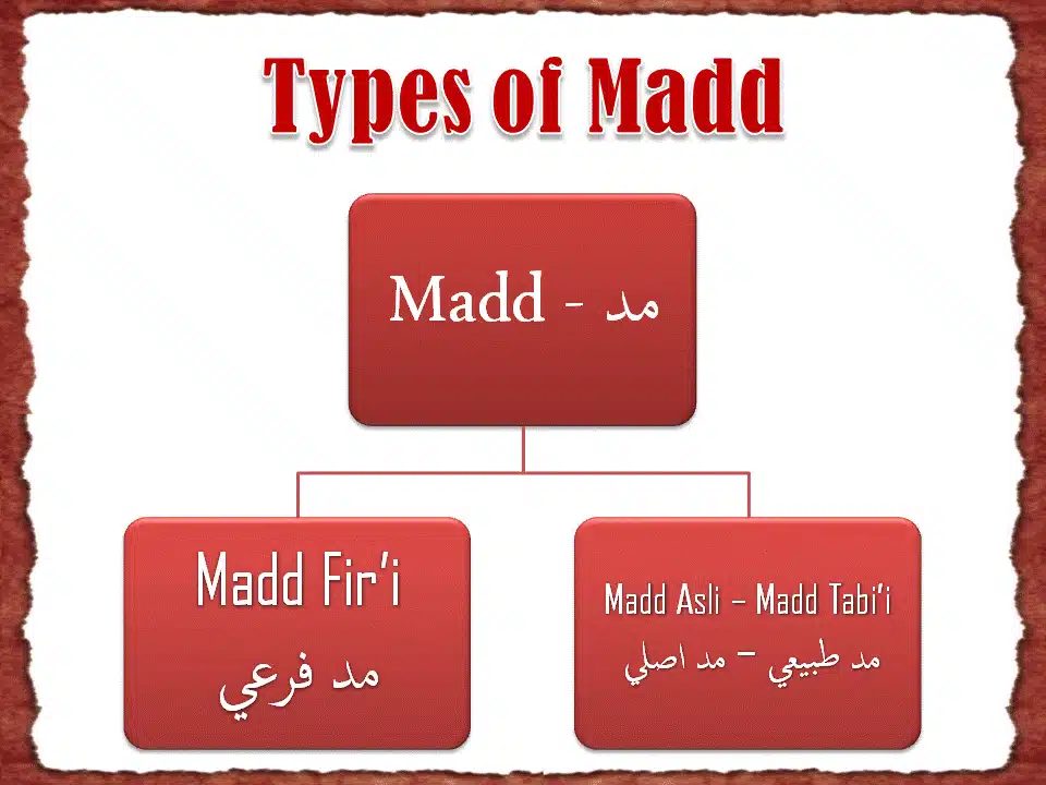 🌊 Rules & Types of Madd – Flowing with the Rhythm of Quranic Recitation